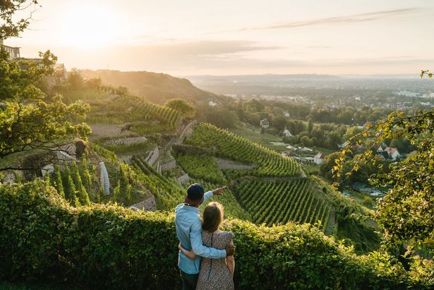 Pärchen hält sich in den Armen und schaut über die Weinberge