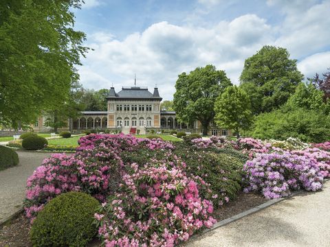 Blick in den Albertpark Bad Elster mit Rhododendronblüten im Vordergrund